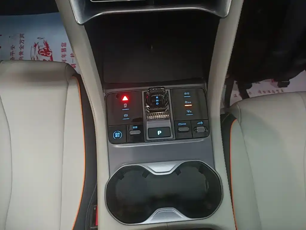 BYD PLUS New Energy 2024 — фото 14