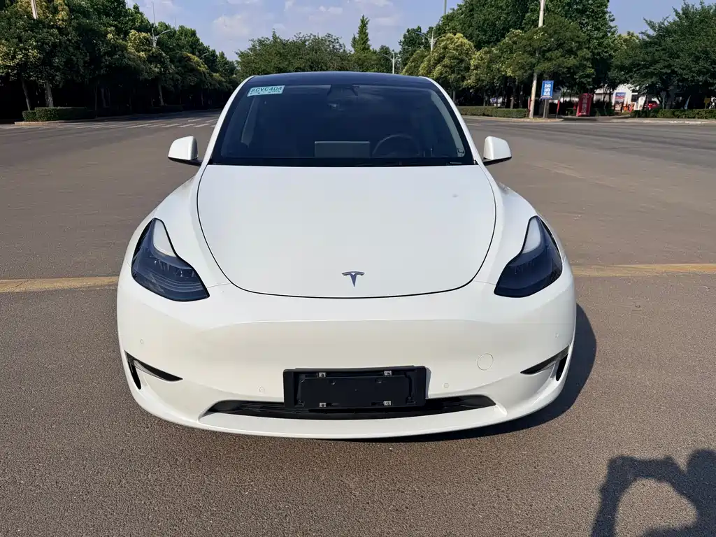 Tesla Model Y 2021 — фото 2