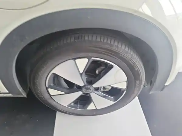 BYD Dolphin 2024