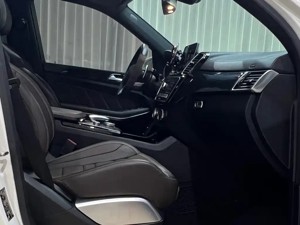 Mercedes-Benz GLS AMG 2019 — фото 20