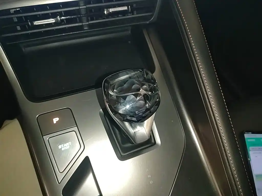 Roewe RX5 New Energy 2023 — фото 14