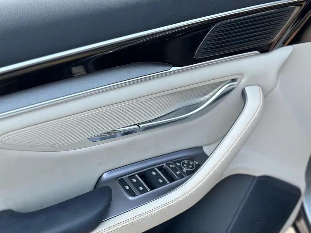 BYD PLUS New Energy 2023 — фото 10