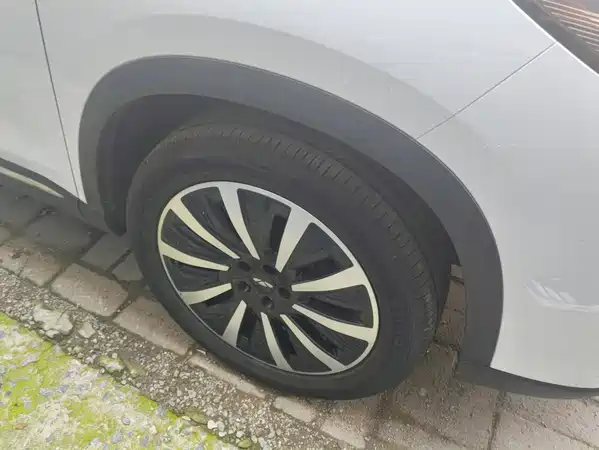 Chery Fengyun T8 2025
