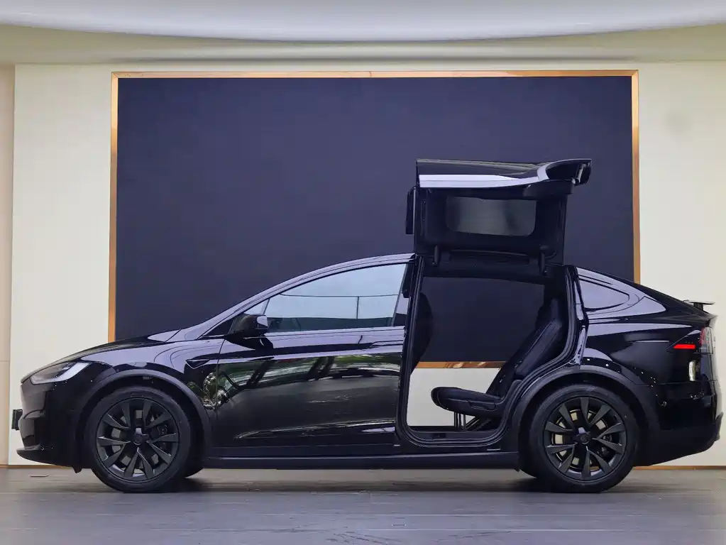 Tesla Model X 2023 — фото 17