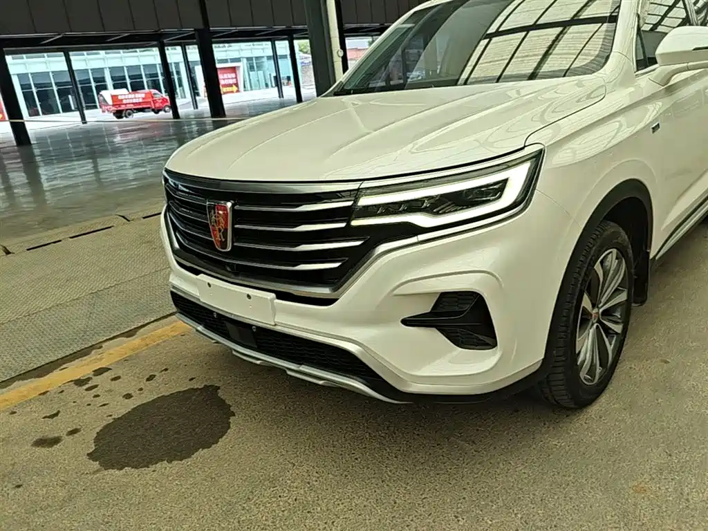Roewe RX5 MAX 2020 — фото 24