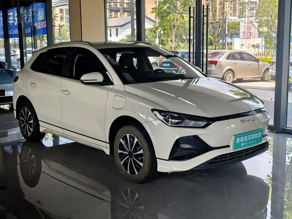 BYD e2 2024