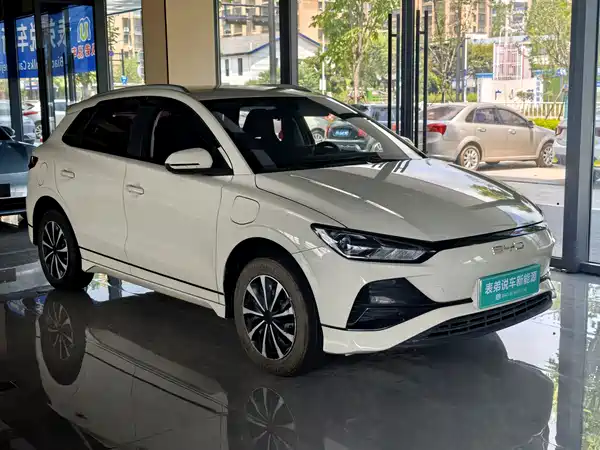 BYD e2 2024