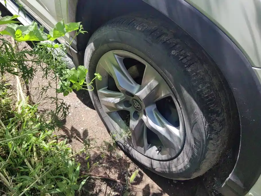 Toyota Highlander 2019 — фото 6