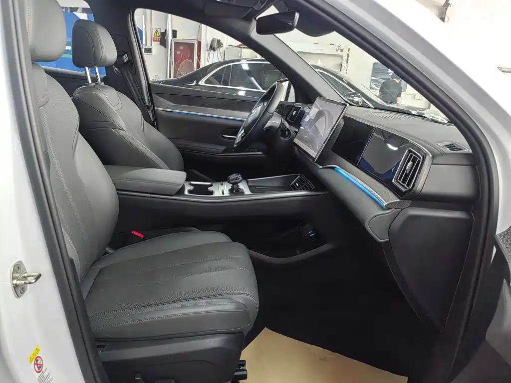 BYD Song Pro New Energy 2025 — фото 12