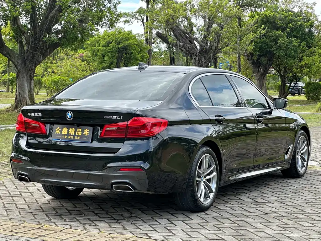 BMW 5 Series 2020 — фото 14