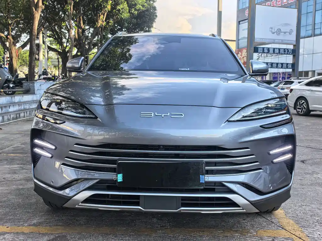 BYD Song PLUS New Energy 2024 — фото 2