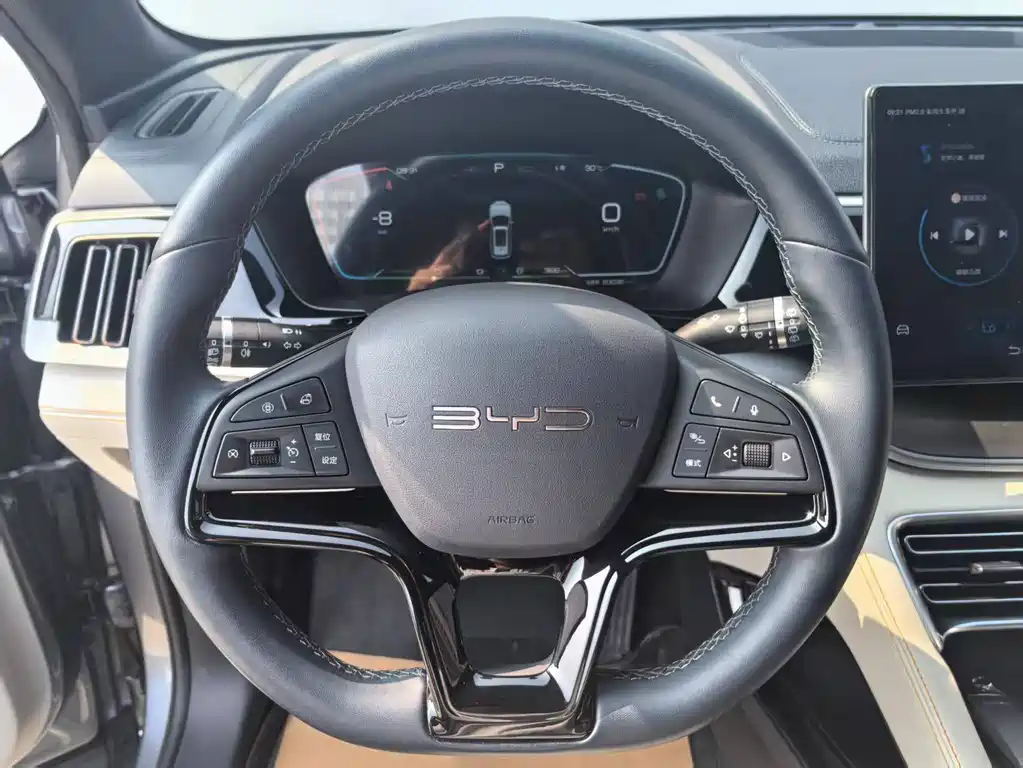 BYD Song PLUS New Energy 2023 — фото 8