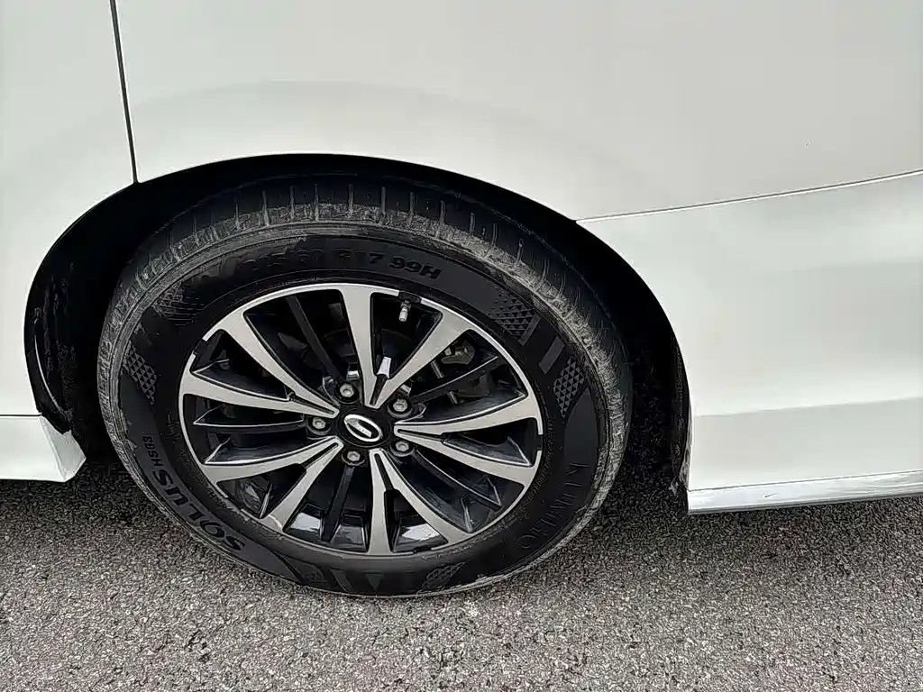 GAC Trumpchi M8 2022 — фото 14