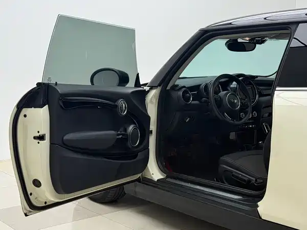MINI 2019