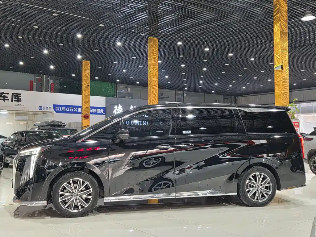 GAC Motor Trumpchi M8 2024 — фото 5