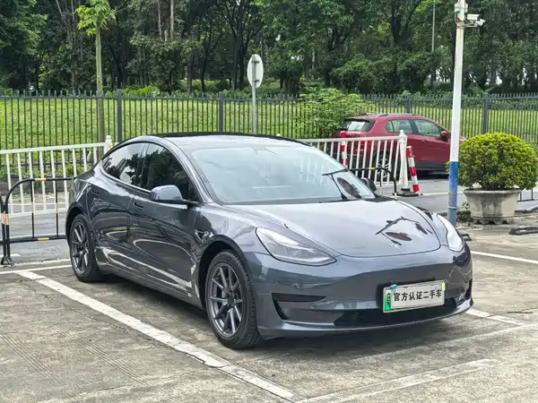 Tesla Model 3 2021