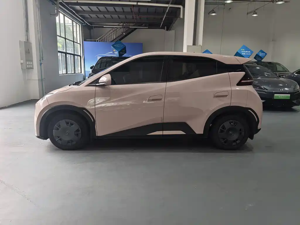 BYD Seagull 2024