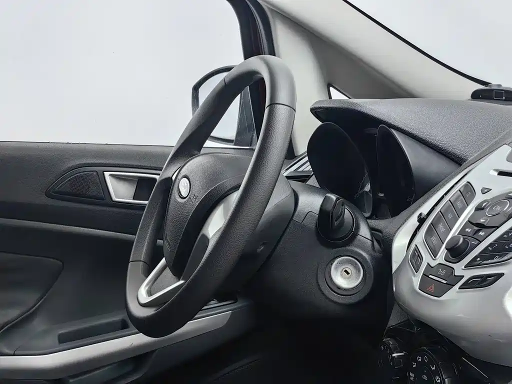 Ford EcoSport 2015 — фото 22
