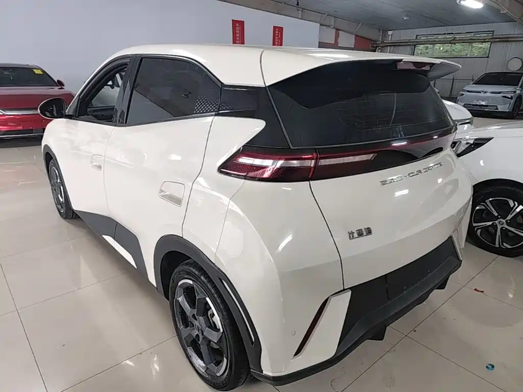 BYD Seagull 2024