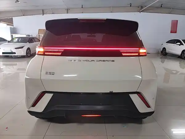 BYD Seagull 2024
