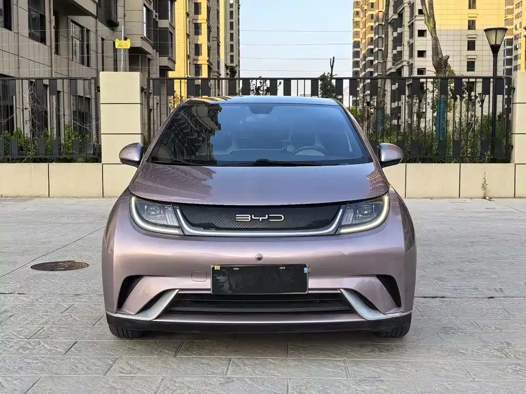 BYD Dolphin 2022