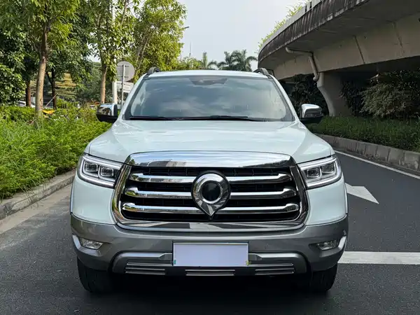 Great Wall Poer 2021