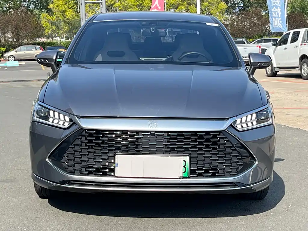 BYD Qin PLUS 2024 — фото 2