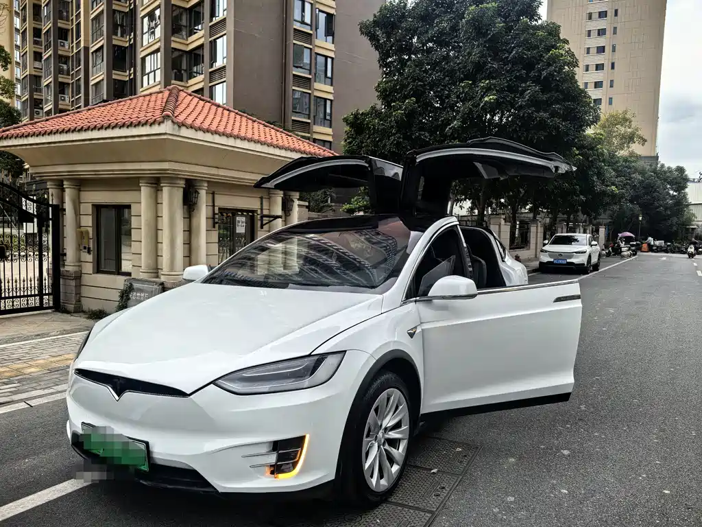 Tesla Model X 2020 — фото 3