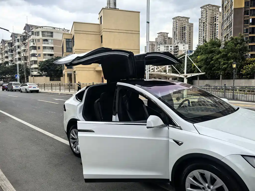 Tesla Model X 2020 — фото 5