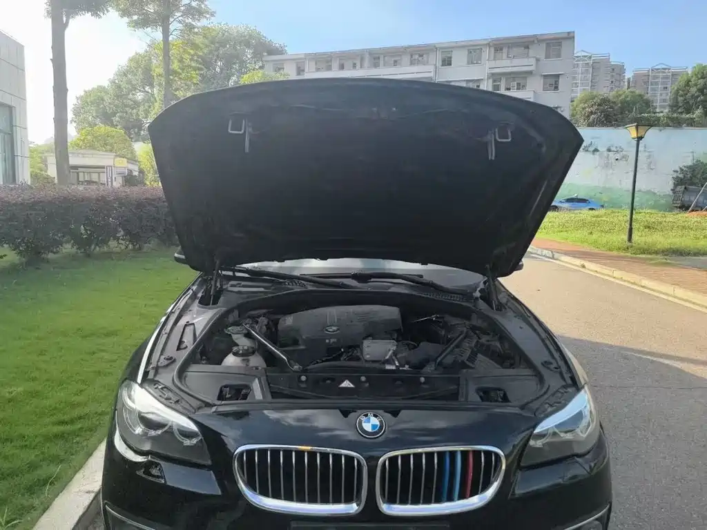 BMW 5 Series 2017 — фото 9