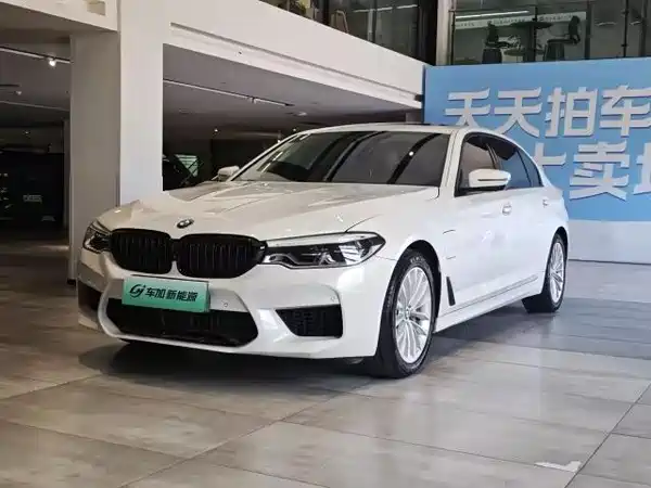 BMW 5 Series New Energy 2020