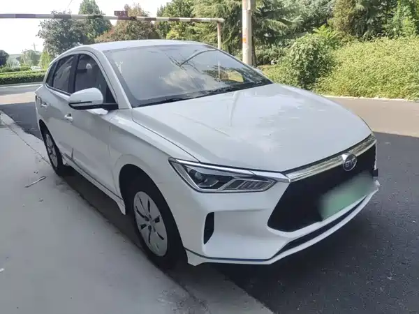 BYD e2 2021