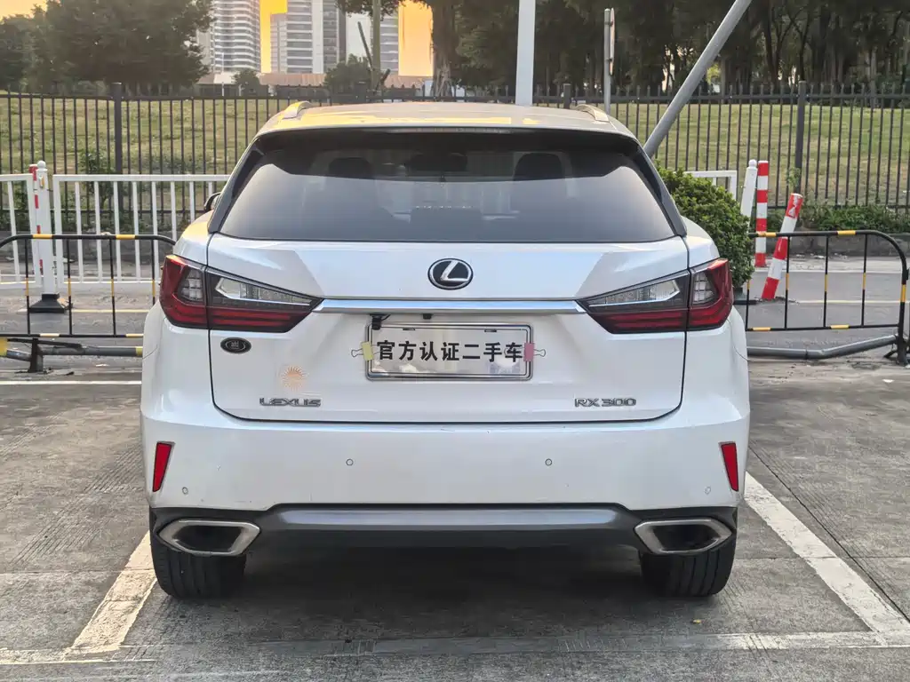 Lexus RX 2018 — фото 19