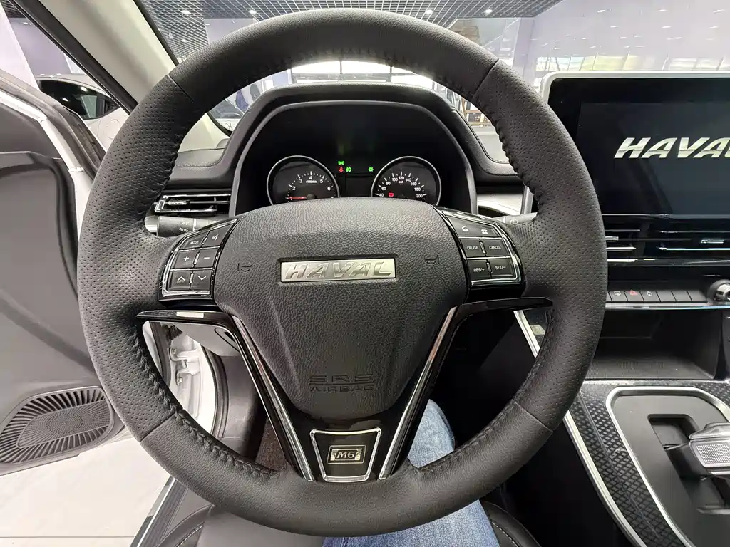Haval M6 2023 — фото 13