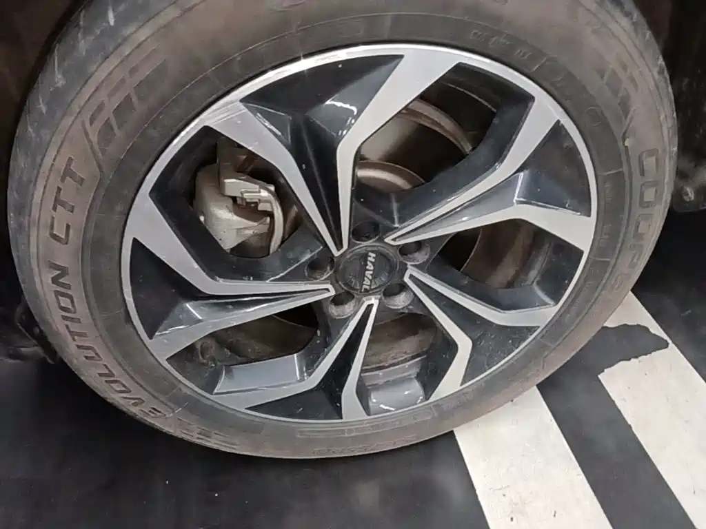 Haval Mythical Beast 2022 — фото 23