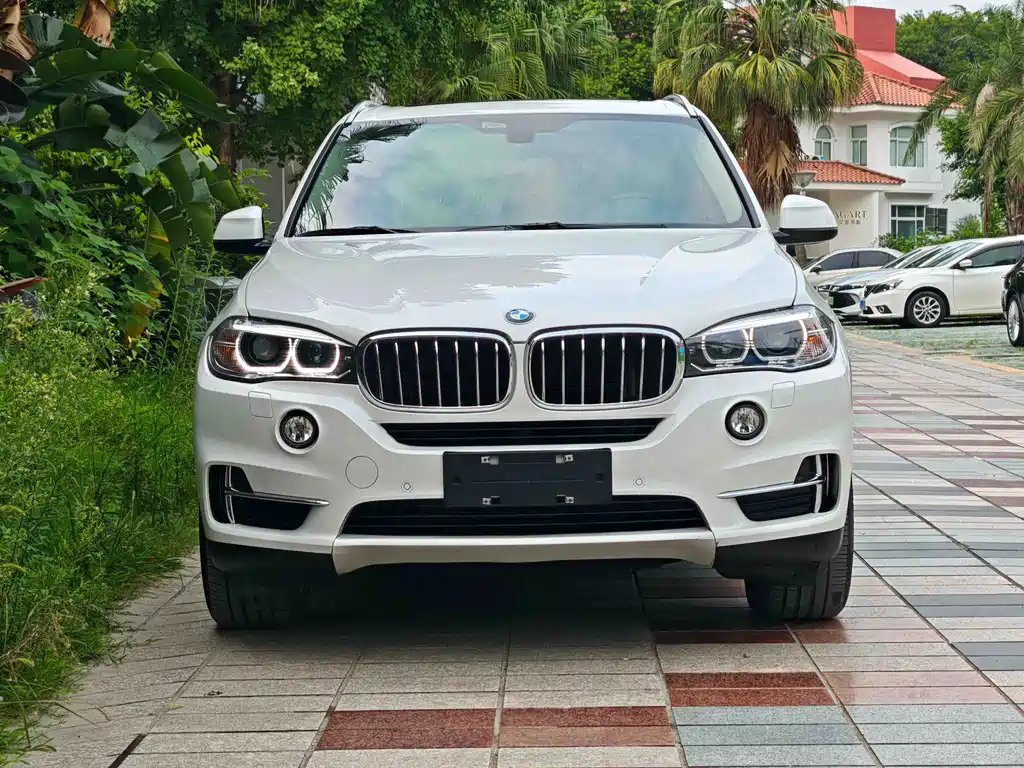 BMW X5 2017 — фото 2