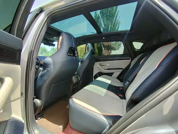 BYD Song PLUS New Energy 2024