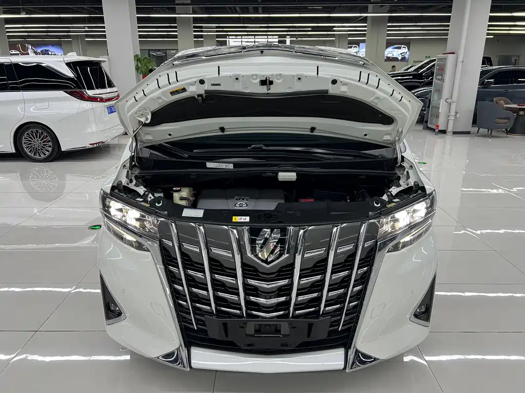 Toyota Alphard 2018 — фото 26