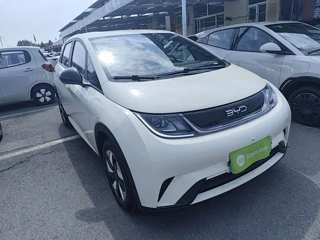 BYD Dolphin 2026