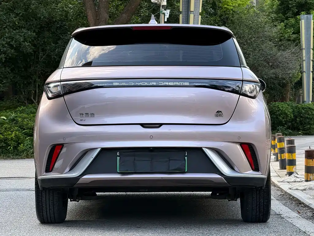 BYD Dolphin 2022