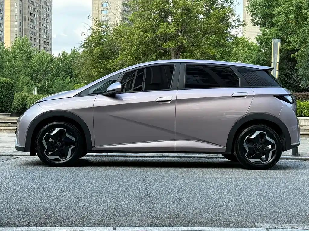 BYD Dolphin 2022