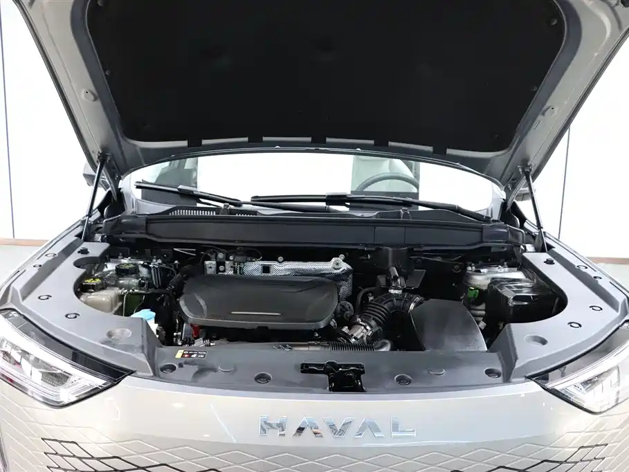 Haval Xiaolong MAX 2023 — фото 31