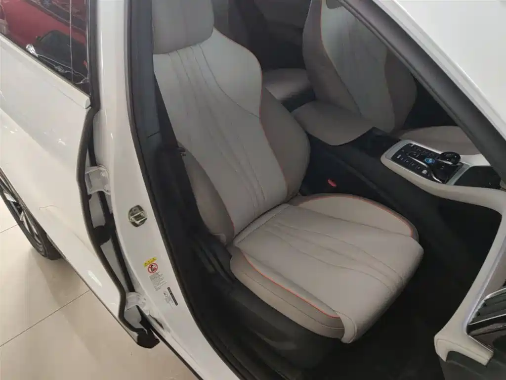 BYD Pro New Energy 2024 — фото 25