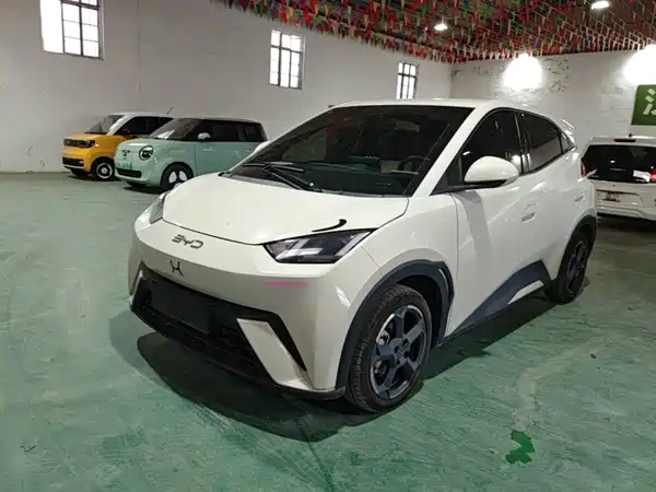 BYD Seagull 2024