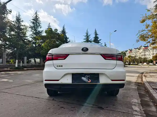 BYD Qin 2019