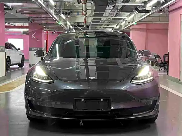 Tesla Model 3 2019