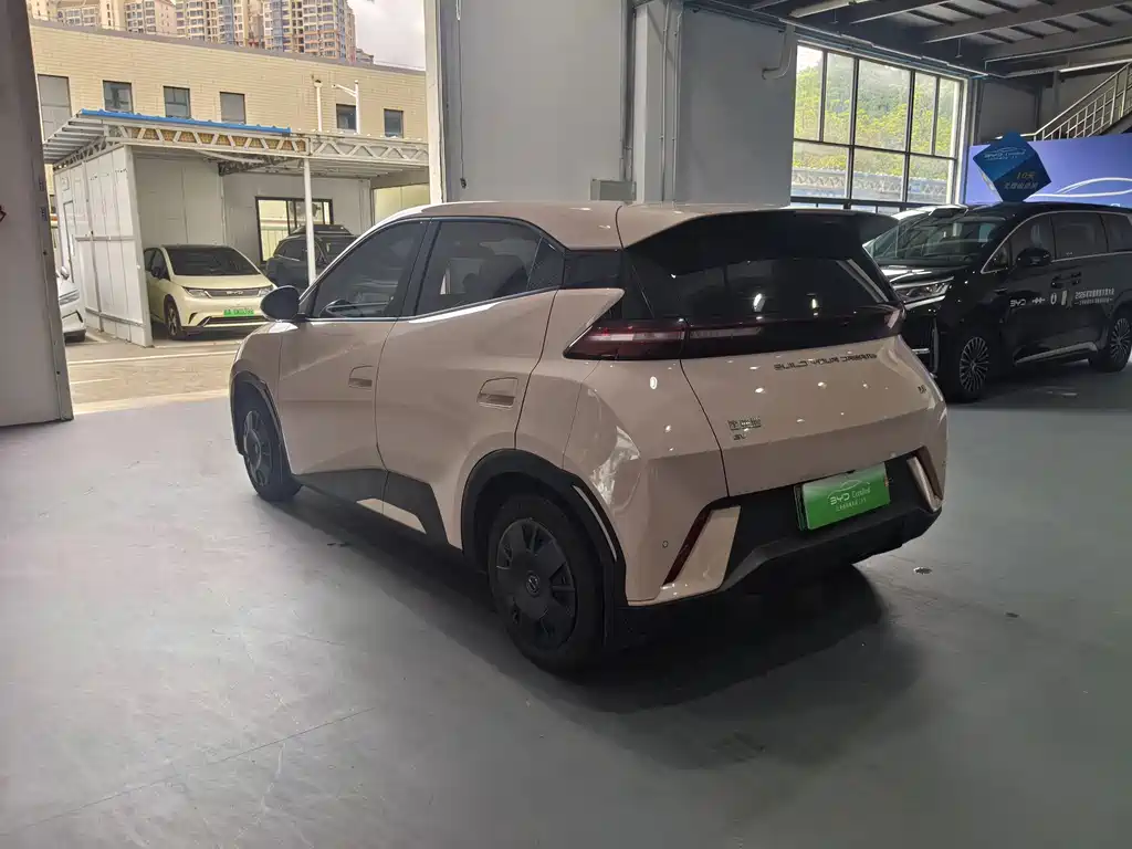 BYD Seagull 2024
