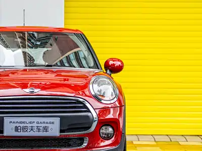 MINI MINI 2018