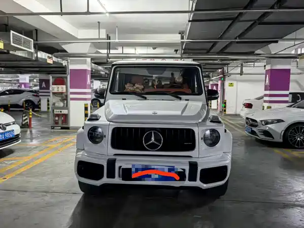 Mercedes-Benz G-Class AMG 2010