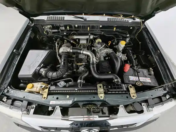 Dongfeng Ruiqi 2016